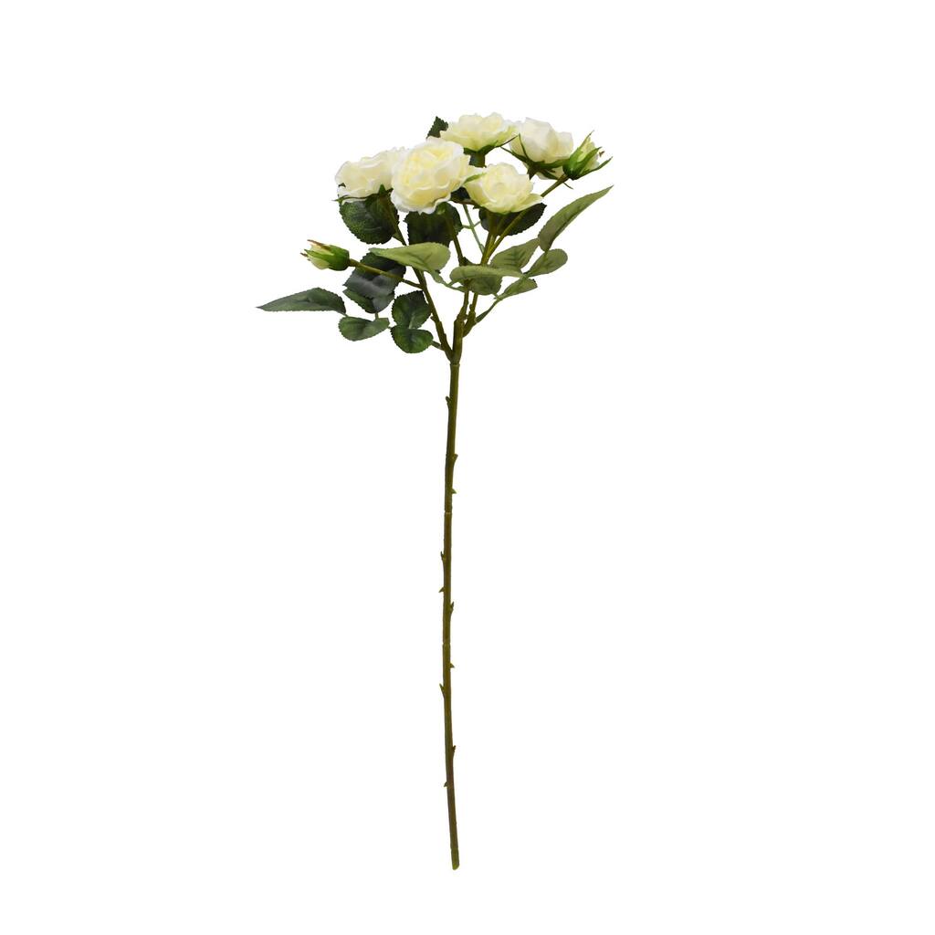 10649276_1.jpg img